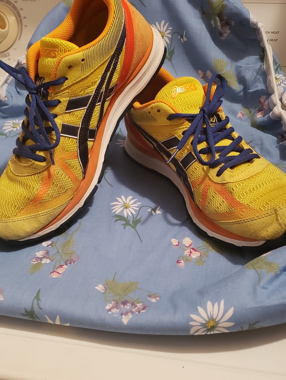 Asics Running Shoes